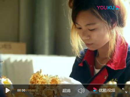youku.jpg